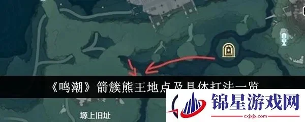 熊王捕捉攻略：道具准备、地点选择及过程详解