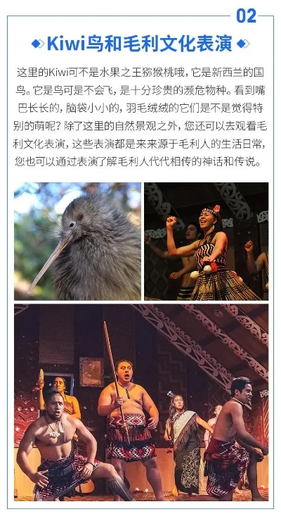 好玩的新西兰手游排行榜-新西兰手游体验毛利文化