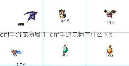 手游dnf宠物对比图-DNF宠物对比全面解析