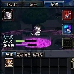 dnf宠物可爱虎-DNF可爱虎养成攻略